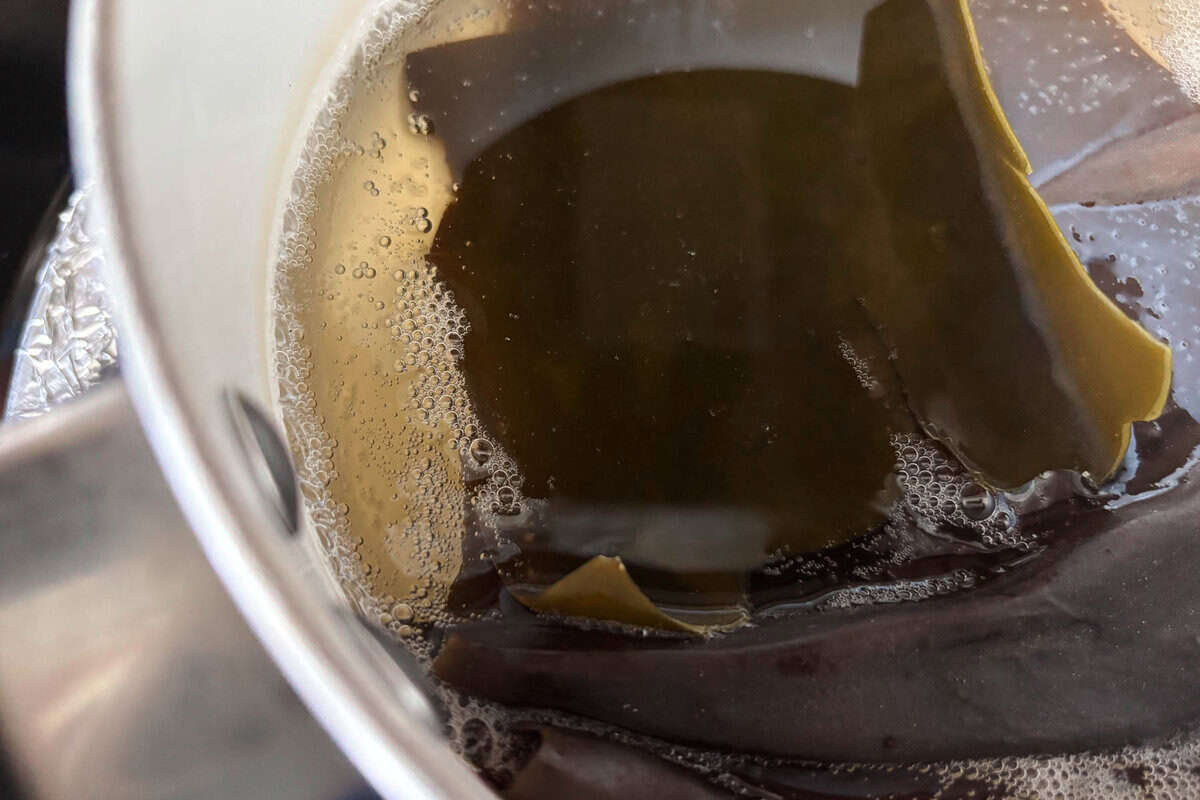 Bobbles are coming from the edges of kombu.