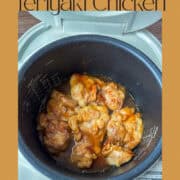 Rice Cooker Teriyaki Chicken Made Easy.