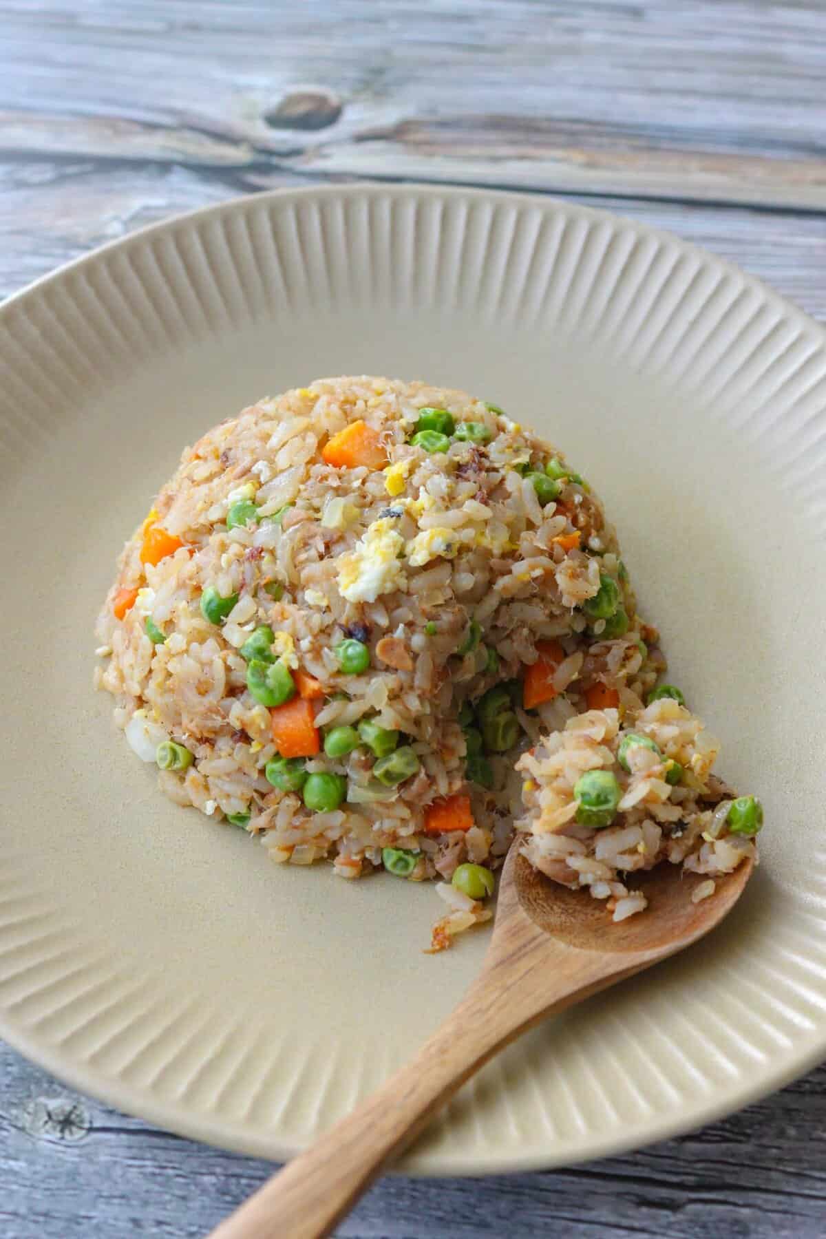 Natto fried rice on a plate.
