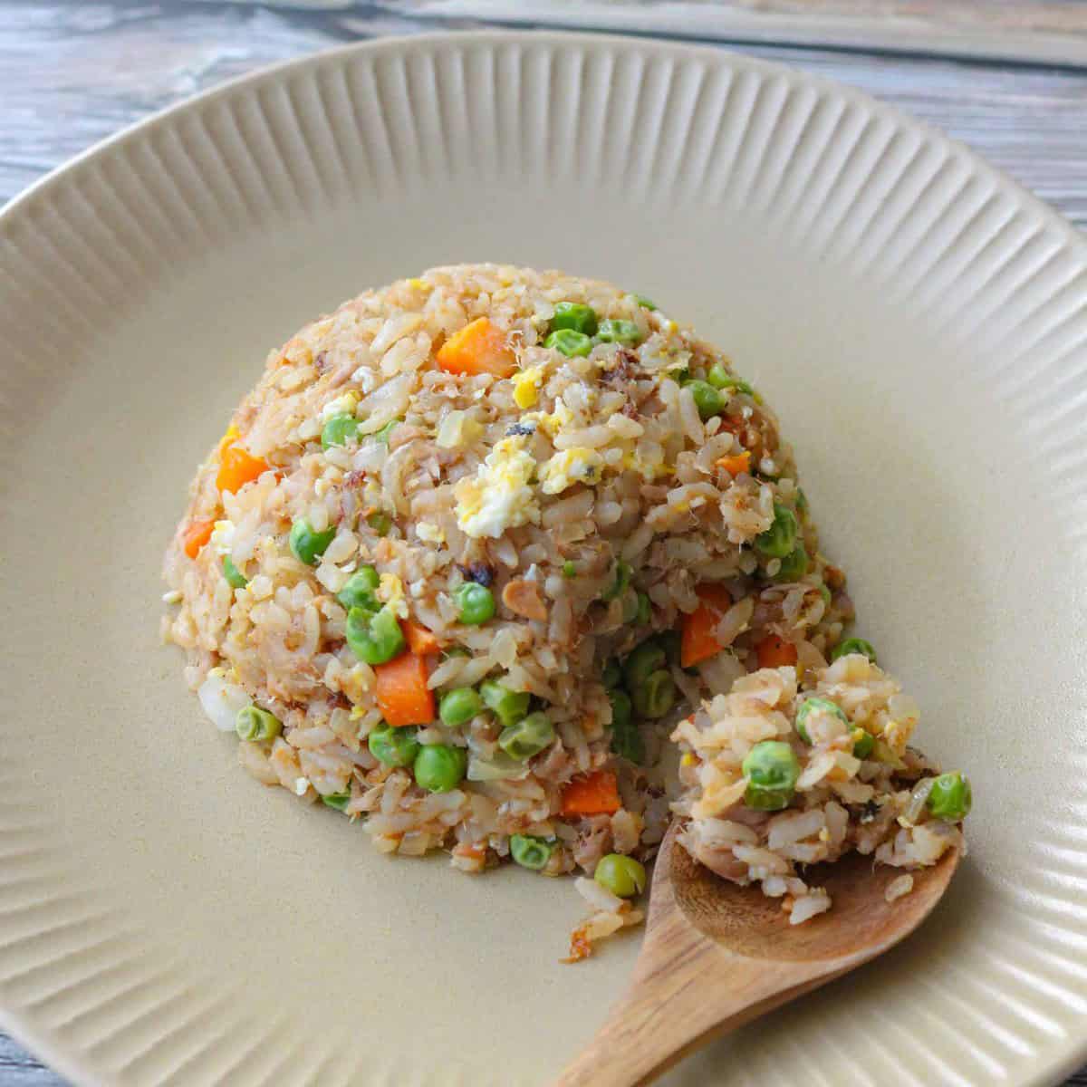 Natto fried rice on a plate.