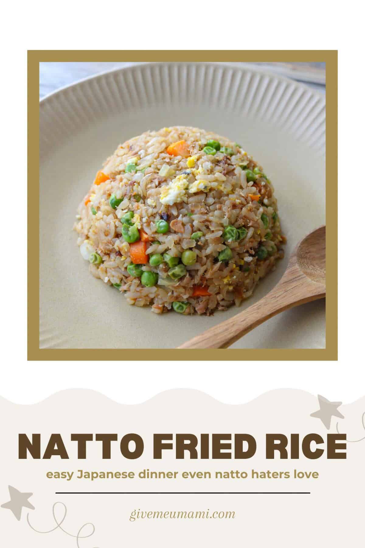 Natto Fried Rice (Easy Japanese Dinner Even Natto Haters Love).