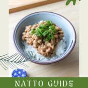 Natto Guide as a Side Dish.